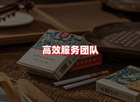 专业团队